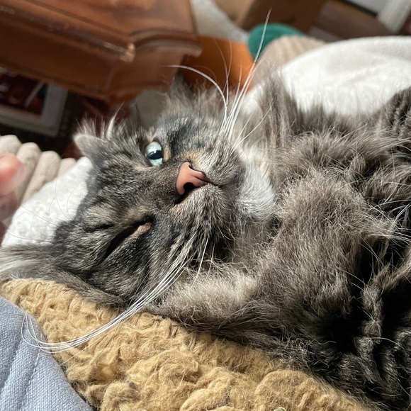 Meet your Posher, Ashley - Picture 1 of 1